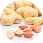 Peanuts are a common food allergy